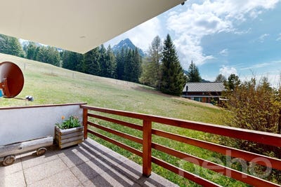 /international/ch/les-mosses-les-mosses-vaud-310108110550/