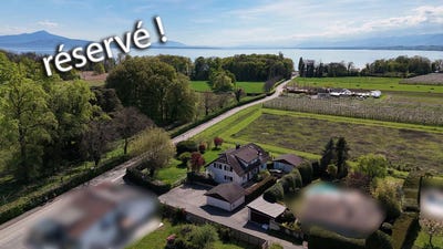 /international/ch/allaman-vaud-310107442554/