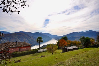 /international/ch/via-cantonale-49-vernate-ticino-310100907094/