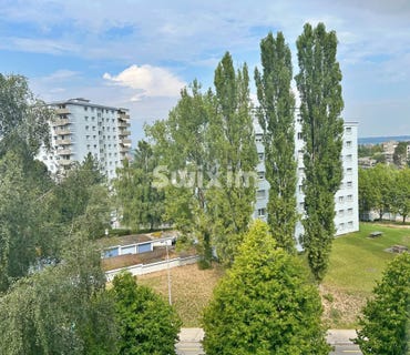/international/ch/fribourg-canton-of-fribourg-310106407819/