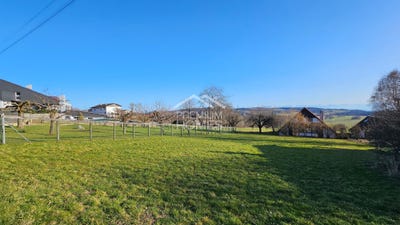/international/ch/nods-canton-of-bern-310108600857/