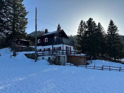 /international/ch/saint-cergue-vaud-310106390591/