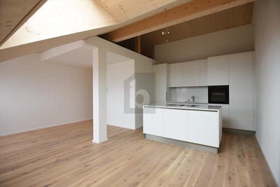 /international/ch/werdenberg-st-gallen-310108111002/