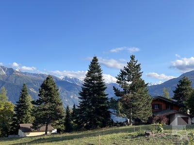 /international/ch/bluche-bluche-randogne-valais-310107588464/