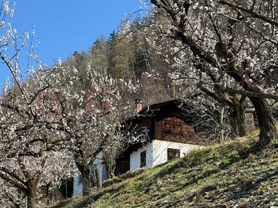 /international/ch/saxon-valais-310108054025/