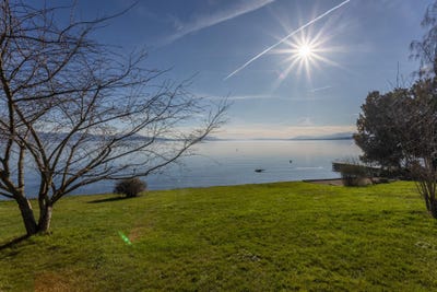 /international/ch/perroy-vaud-310107944003/