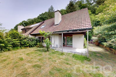 /international/ch/bulach-bulach-zurich-310108949268/