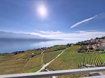 /international/ch/chexbres-vaud-310104563903/
