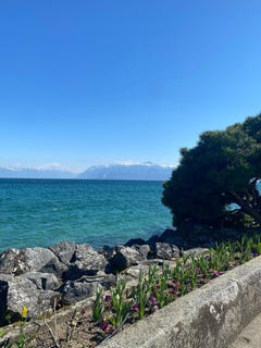 /international/ch/4-avenue-de-croix-de-rive-preverenges-vaud-310108591301/