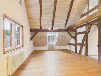 /international/ch/wildensbuch-wildensbuch-zurich-310108756917/