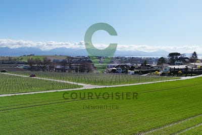 /international/ch/lonay-vaud-310108320701/