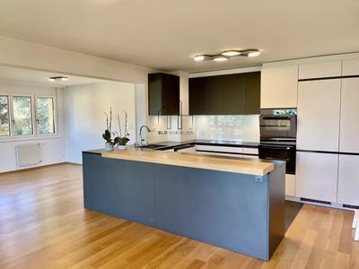 /international/ch/chernex-chernex-vaud-310108324373/