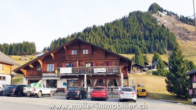 /international/ch/route-du-col-des-mosses-94-les-mosses-vaud-310103637162/