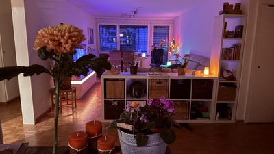 /international/ch/effretikon-zurich-310108727852/