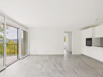 /international/ch/cadro-ticino-310108402148/