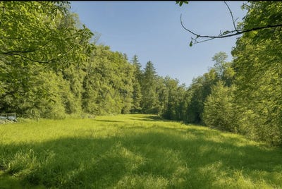/international/ch/bussnang-thurgau-310107737327/