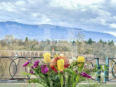 /international/ch/a-deux-pas-des-commodites-geneve-geneva-310100906948/