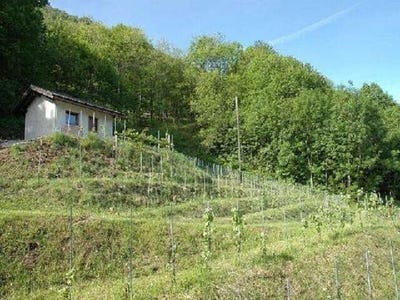 /international/ch/contone-ticino-310100932200/?lang=zh-tw