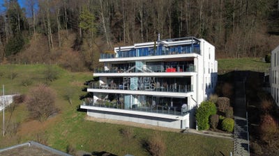 /international/ch/stallikon-zurich-310108270293/