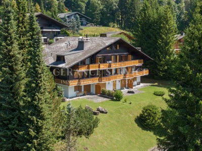/international/ch/domaine-de-la-residence-chesieres-vaud-310103460334/
