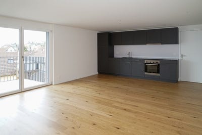 /international/ch/mitteldorfstrasse-6-hagglingen-aargau-310108923818/