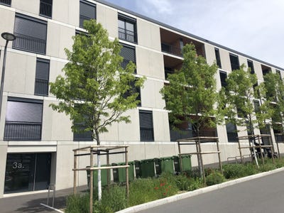 /international/ch/chemin-des-lentillieres-3a-crissier-vaud-310108212582/