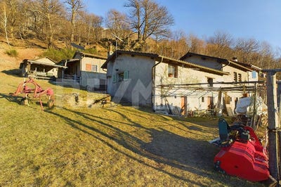 /international/ch/cagiallo-ticino-310103096287/