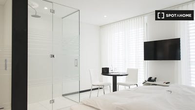 /international/ch/zurich-zurich-310101016593/