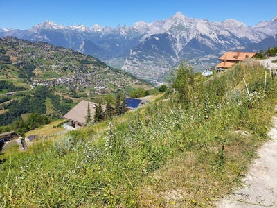 /international/ch/le-fio-haute-nendaz-valais-310100909725/