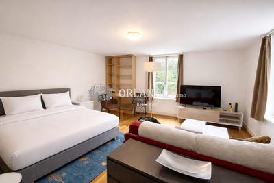 /international/ch/rue-ancienne-carouge-geneva-310106422905/