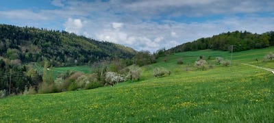 /international/ch/steinmattenweg-liesberg-dorf-basel-landschaft-canton-310107369397/