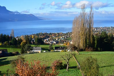 /international/ch/brent-vaud-310107900995/