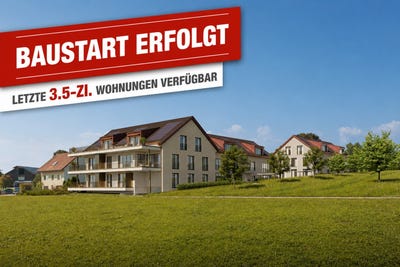 /international/ch/schulweg-happerswil-thurgau-310108589993/