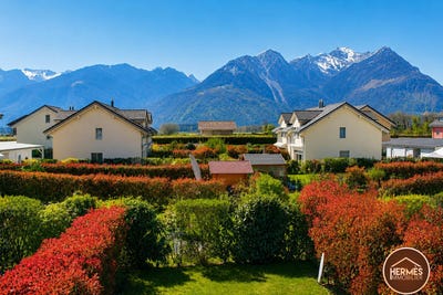/international/ch/roche-vaud-310109076389/?lang=id