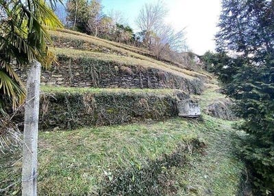 /international/ch/bellinzona-ticino-310100931648/