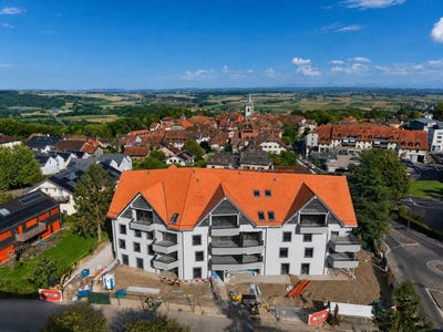 /international/ch/cossonay-ville-vaud-310120477449/