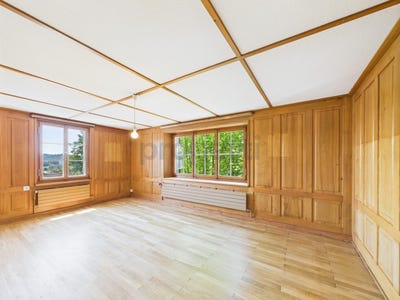 /international/ch/schaffhausen-canton-of-schaffhausen-310101228318/