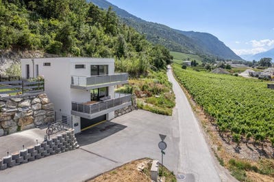 /international/ch/ouest-du-village-rechy-valais-310100911546/