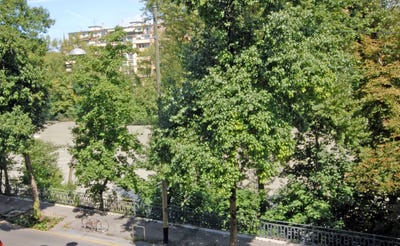 /international/ch/carouge-carouge-geneva-310107737331/