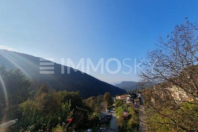 /international/ch/oggio-ticino-310107900388/