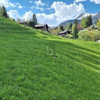 /international/ch/dalpe-ticino-310100715936/