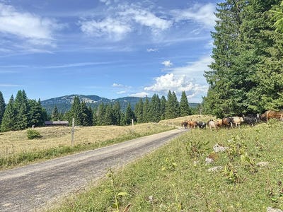 /international/ch/saint-cergue-vaud-310101132440/?lang=zh-tw
