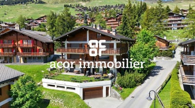 /international/ch/rue-de-la-velle-23-verbier-valais-310108182840/