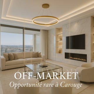 /international/ch/carouge-ge-geneva-310100907246/