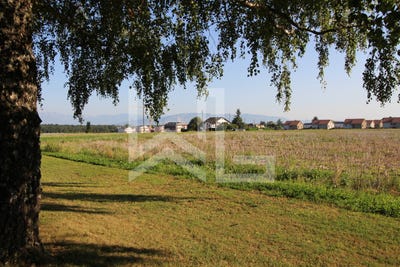 /international/ch/chavannes-des-bois-vaud-310108699514/