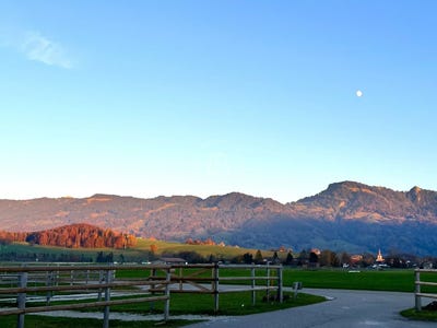 /international/ch/marsens-canton-of-fribourg-310108667813/