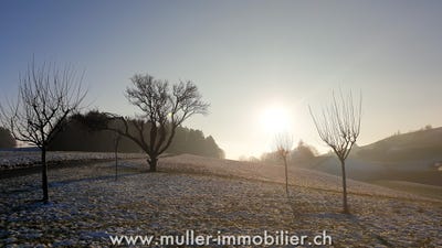 /international/ch/chem-de-la-tour-de-gourze-12-forel-lavaux-vaud-310099941851/?lang=zh-tw