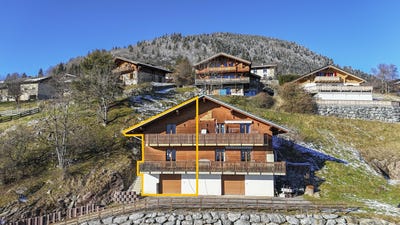 /international/ch/quartier-calme-et-residentiel-vue-panoramique-torgon-valais-310100907799/