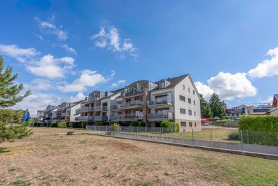 /international/ch/chavornay-vaud-310109963659/