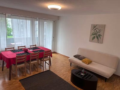 /international/ch/leepuntstrasse-dubendorf-zurich-310108590380/